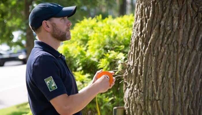 Certified Arborists