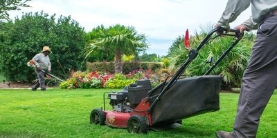 Lawn Cutting Service