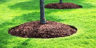 Sod and mulch installation