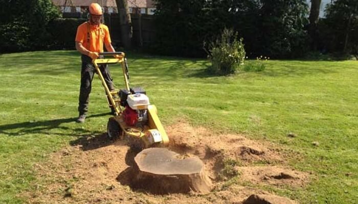 Stump Grinding & Removal