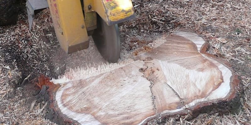 Stump Grinding