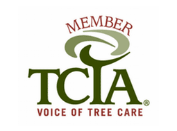 member TCIA